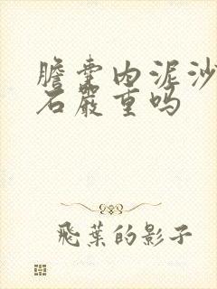 胆囊内泥沙状结石严重吗