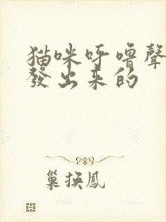 猫咪呼噜声怎么发出来的