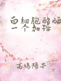 白细胞酯酶阴性一个加号