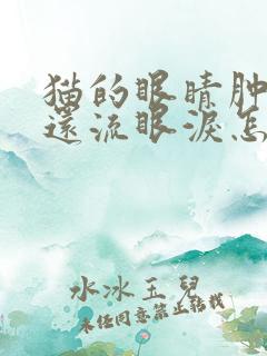 猫的眼睛肿了,还流眼泪怎么回事