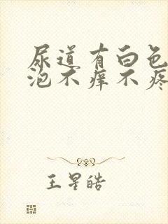 尿道有白色的小泡不痒不疼