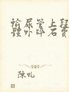 输尿管上段结石体外碎石费用多少