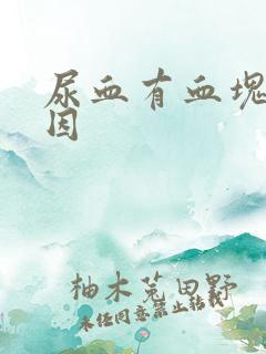 尿血有血块的原因