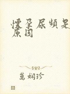 怀孕尿频是什么原因