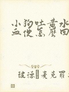 小狗吐黄水还拉血便怎么回事