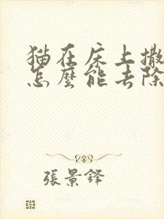 猫在床上撒尿,怎么能去除猫尿味