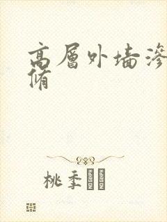 高层外墙渗水维修