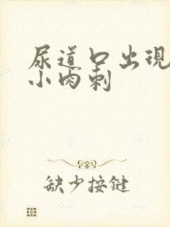 尿道口出现白色小肉刺