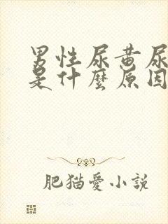 男性尿黄尿不尽是什么原因