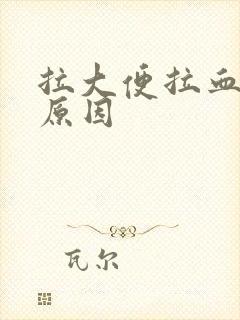 拉大便拉血什么原因