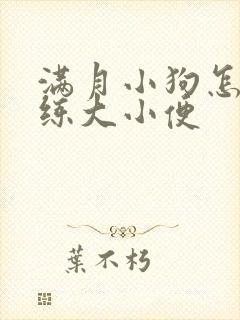 满月小狗怎么训练大小便