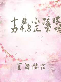 十岁小孩眼睛视力4.8正常吗