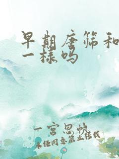 早期唐筛和nt一样吗