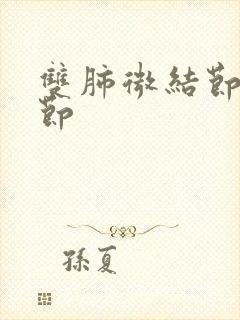 双肺微结节小结节