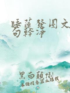 睡莲发圈文案短句干净