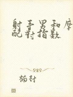 射手男和摩羯女配对指数