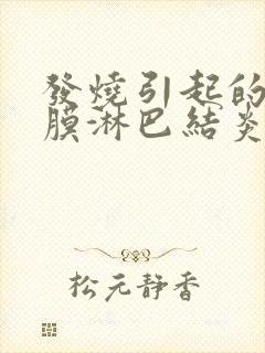 发烧引起的肠系膜淋巴结炎