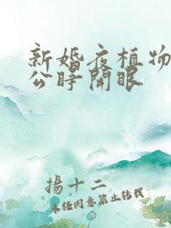 新婚夜植物人老公睁开眼