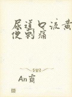 尿道口流黄脓小便刺痛