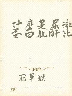 什么是尿微量白蛋白肌酐比值