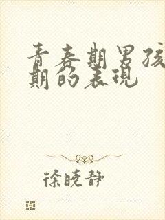 青春期男孩叛逆期的表现