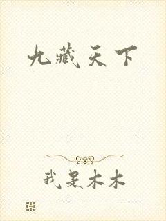 九藏天下