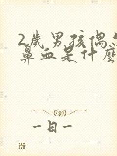 2岁男孩偶尔流鼻血是什么原因