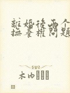 离婚后两个孩子抚养权问题