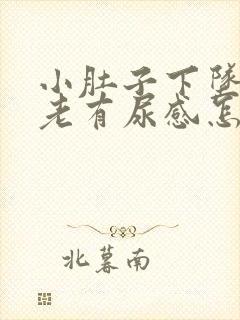 小肚子下坠胀疼老有尿感怎么回事