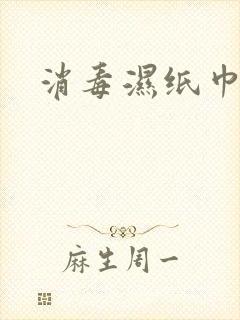 消毒湿纸巾定制