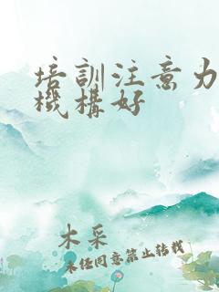 培训注意力哪家机构好