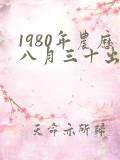 1980年农历八月三十出生人命运