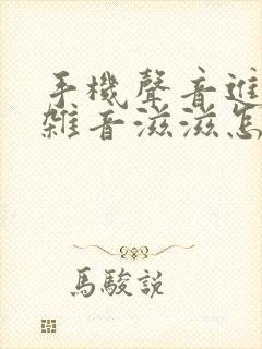 手机声音进水有杂音滋滋怎么办