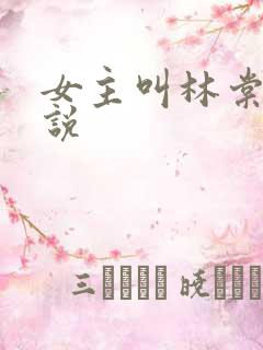 女主叫林棠的小说