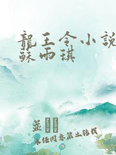 龙王令小说陈平苏雨琪