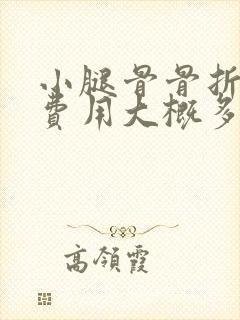 小腿骨骨折手术费用大概多少