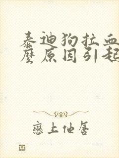 泰迪狗拉血是什么原因引起的