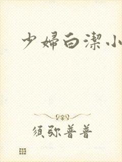 少妇白洁小说福