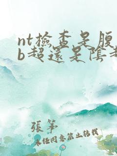 nt检查是腹部b超还是阴超