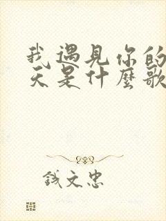 我遇见你的那一天是什么歌里的歌词