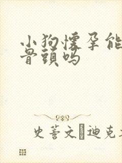 小狗怀孕能吃鸡骨头吗