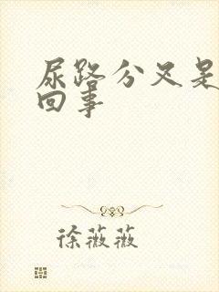 尿路分叉是怎么回事