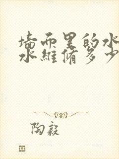 墙面里的水管漏水维修多少钱