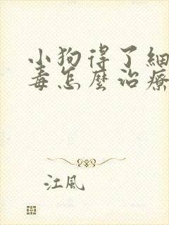 小狗得了细小病毒怎么治疗理方法