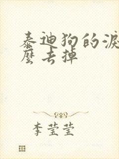 泰迪狗的泪痕怎么去掉