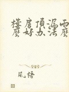 楼房顶漏雨有什么好办法么