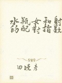 水瓶女和射手男的配对指数