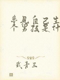 梦见自己生了两个男孩是什么意思