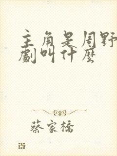 主角是周野的短剧叫什么