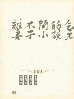 离不开的乞丐的妻子小说免费阅读